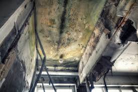 Best Industrial Mold Remediation  in Coeur Dalene, ID